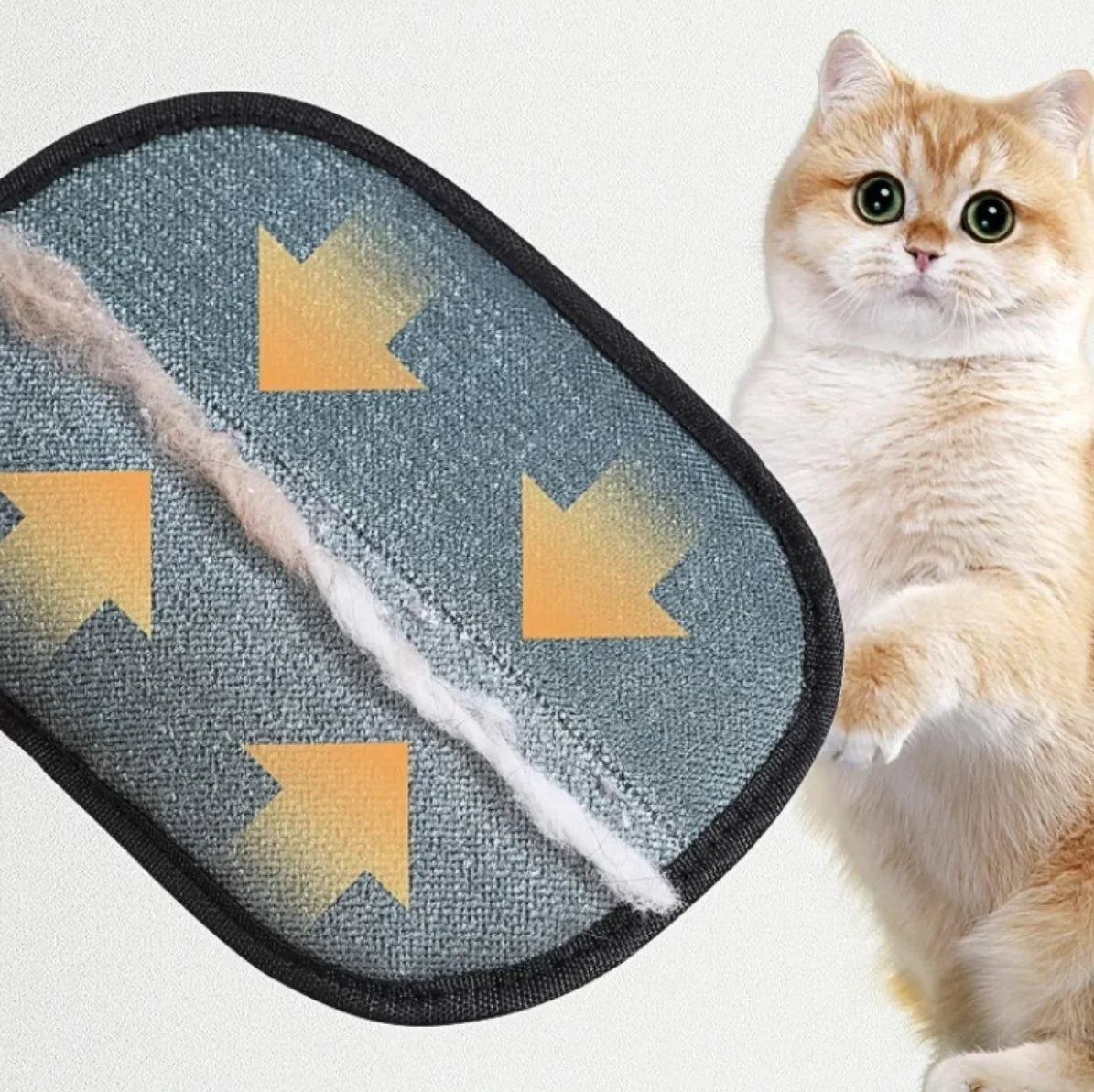 Pet Hair Removal Tool - PetLabs