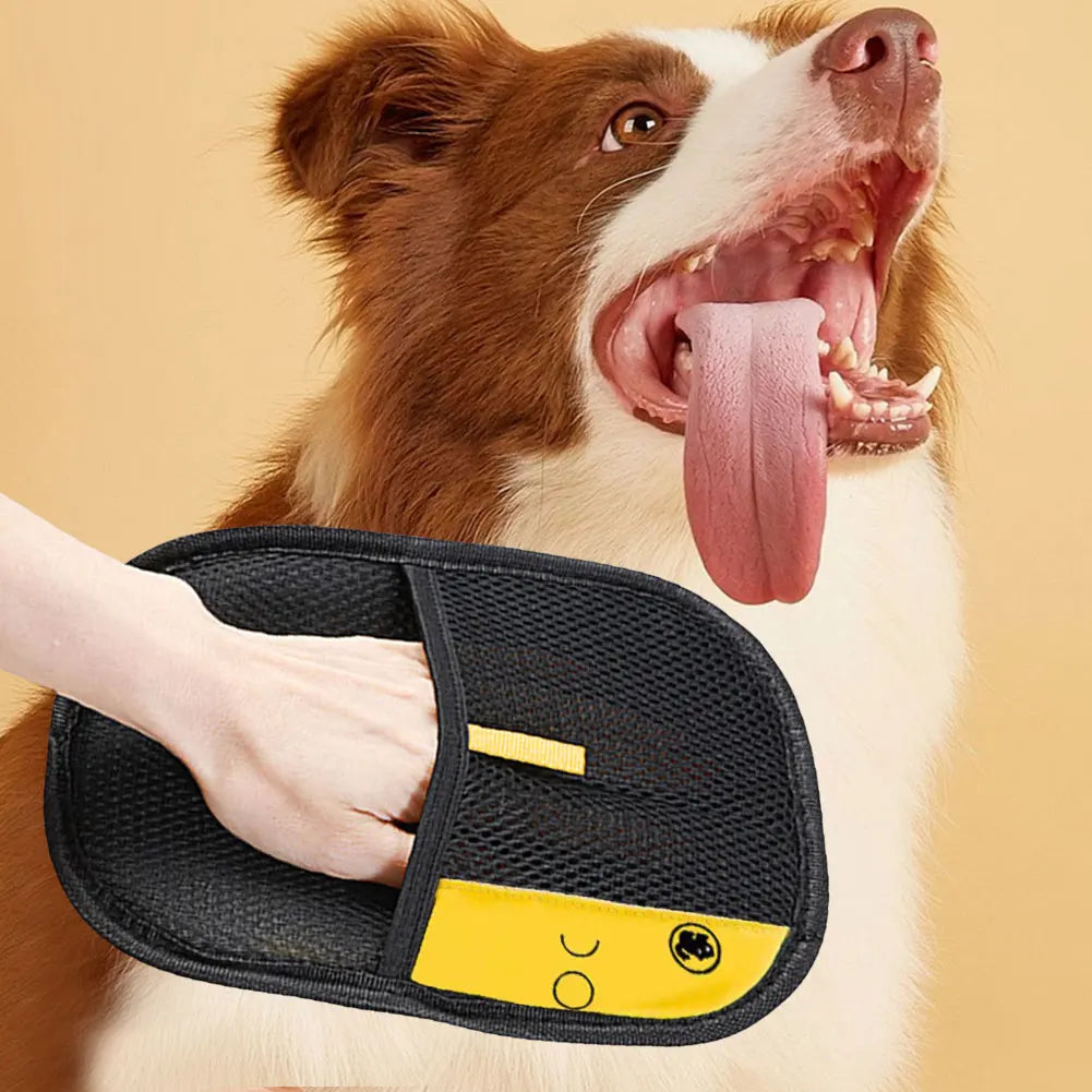 Pet Hair Removal Tool - PetLabs