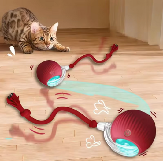 Smart Interactive Cat Ball Toy — Automatic Pet Play Device - PetLabs